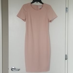 Calvin Klein Light Pink Dress